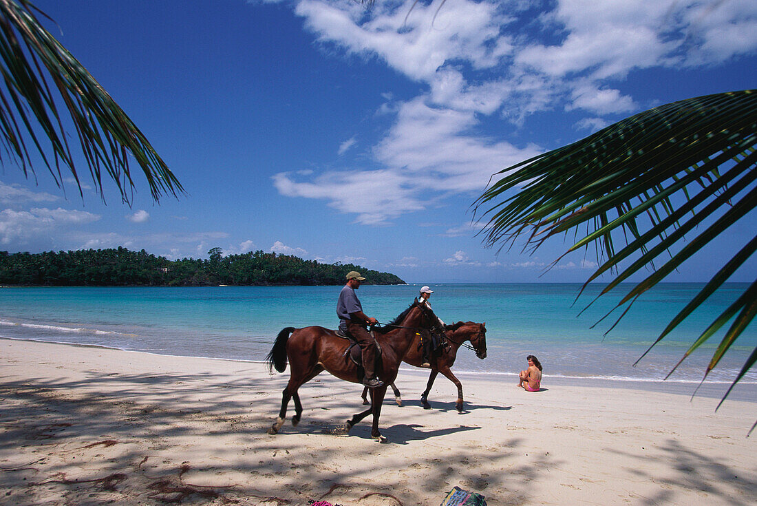 Reiten am Strand, Dominikanische Republik Karibik