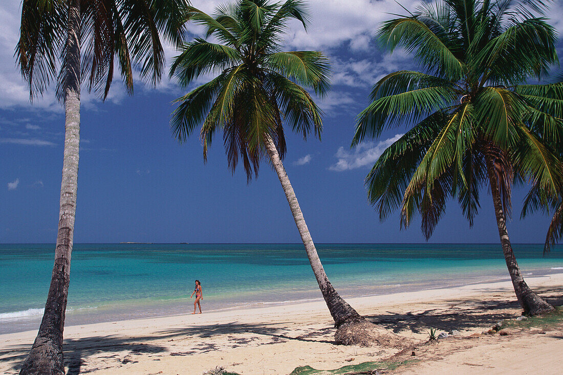Palmenstrand, Dominikanische Republik Karibik