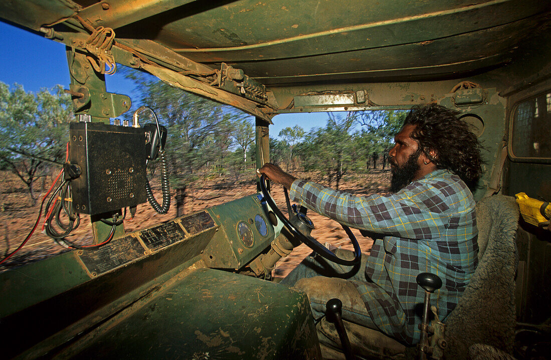 Aboriginal stockmen driving a car, catching wild bulls, Gibb River Station, Kimberley, Western Australia, Australia