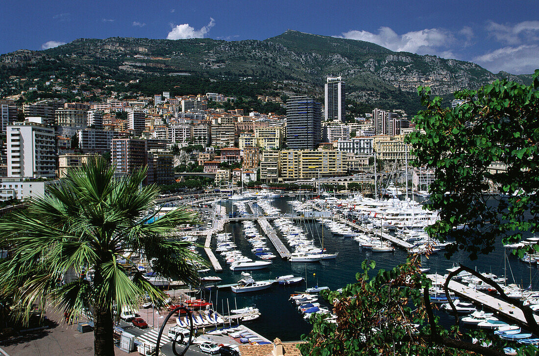 La Condamine und Hafen, Monaco, Côte d´Azur