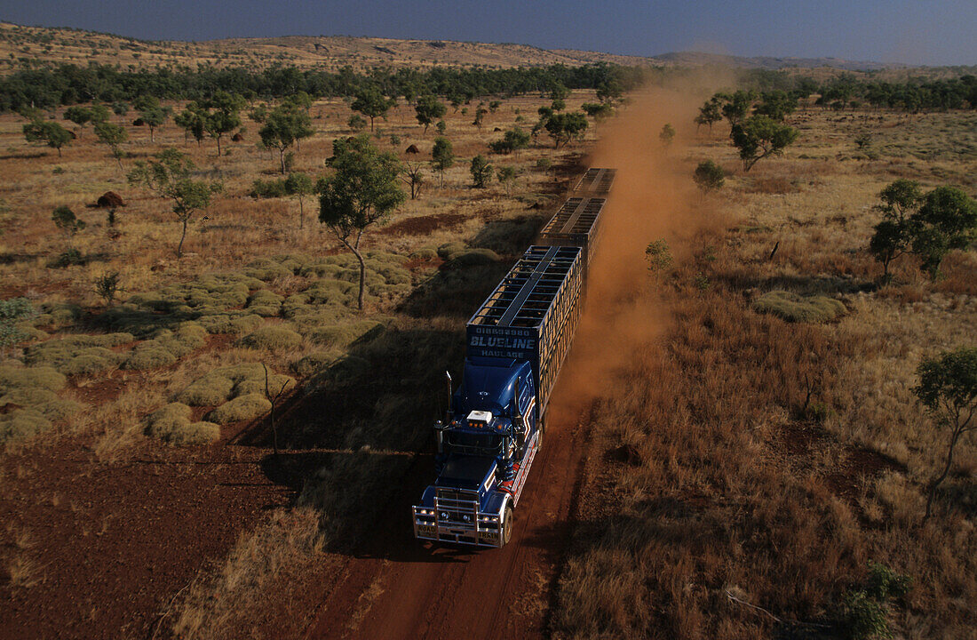 Aerial view, Cattle truck on dirt road in the Kimberleys, desert and savannah, Kimberley, Western Australia, Australia