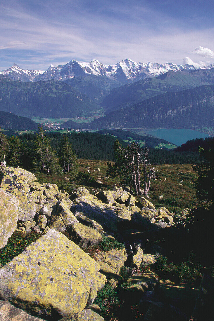 View from Niederhorn towards lake Thun, Eiger, Moench and Jungfrau, Bernese Oberland, Switzerland