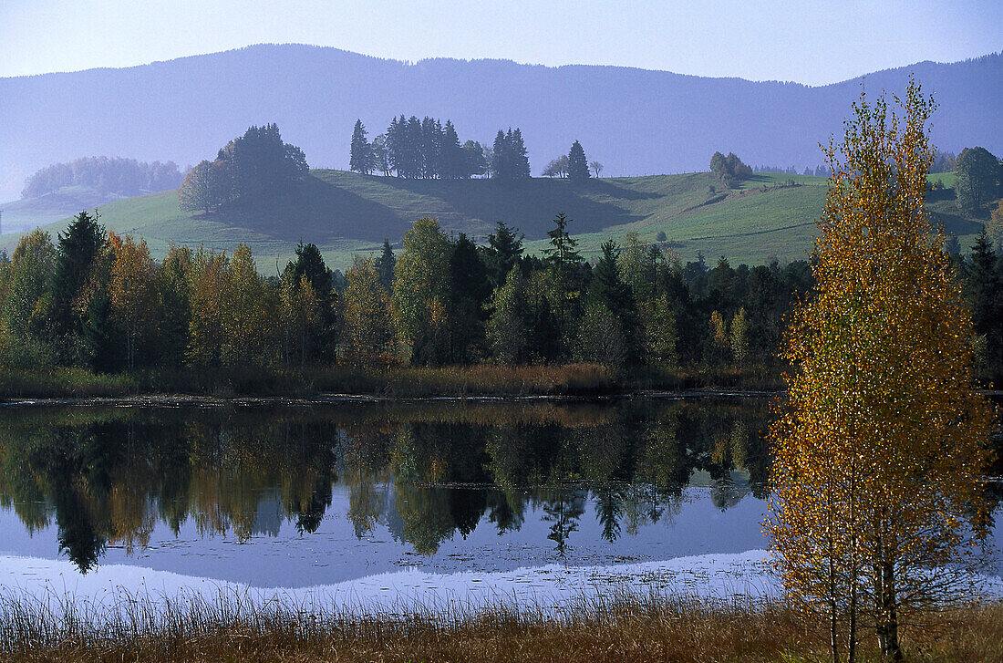 Herbst Landschaft bei Wildsteig, Bayern, Deutschland