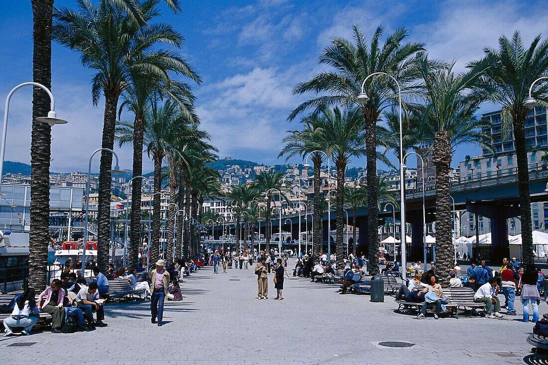 Menschen auf der Promenade unter Palmen, Porto Antico, Genua, Ligurien, Italien, Europa