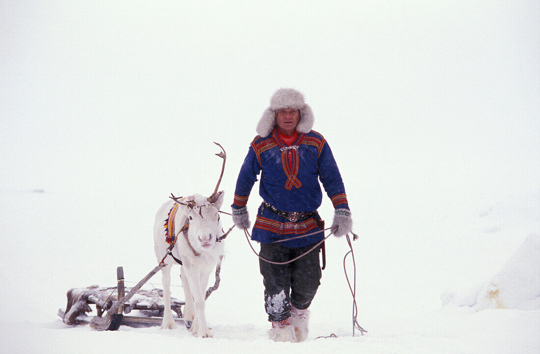 Lappland, Einheimischer mit Rentier, Schweden