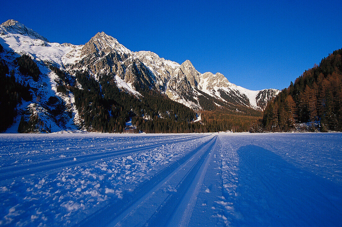 Frozen Lake of Antholz with Cross-country ski run in the snow, Antholz, Val Pusteria, South Tyrol, Italy