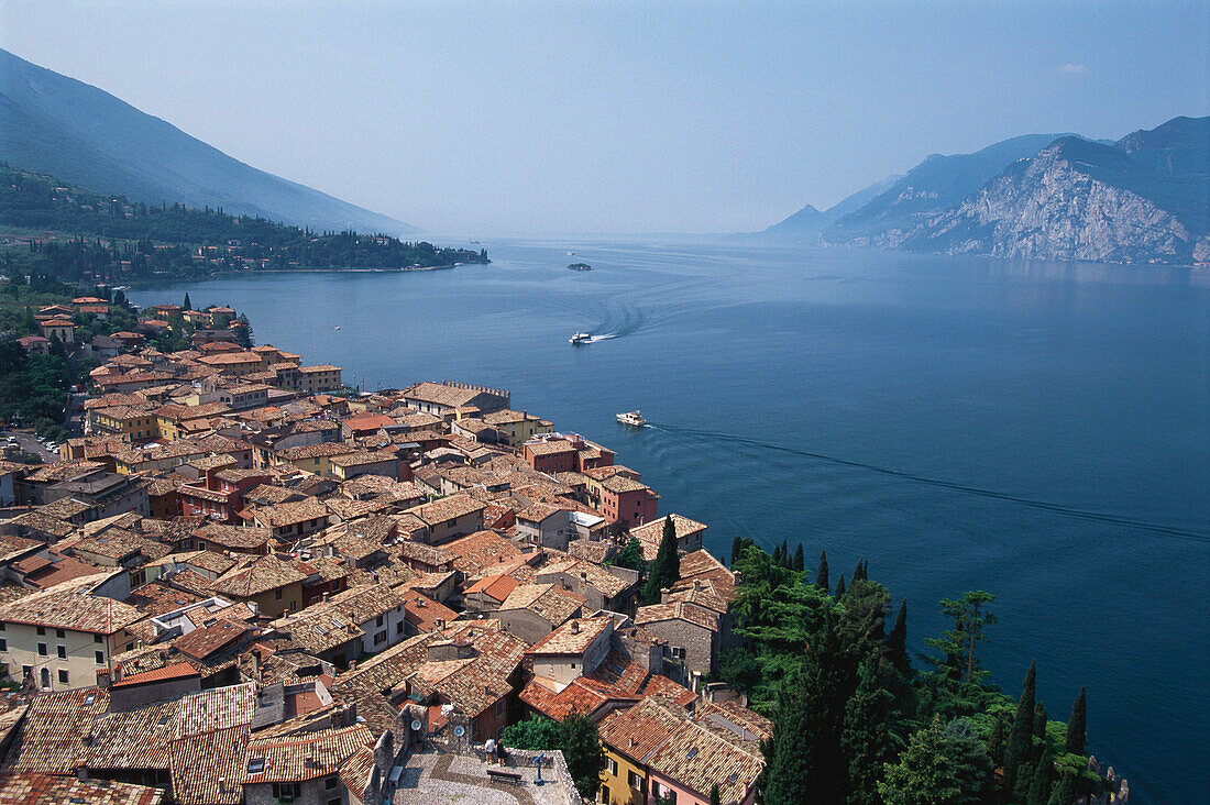 Blick auf Malcesine, Gardasee, Trentino, Italien