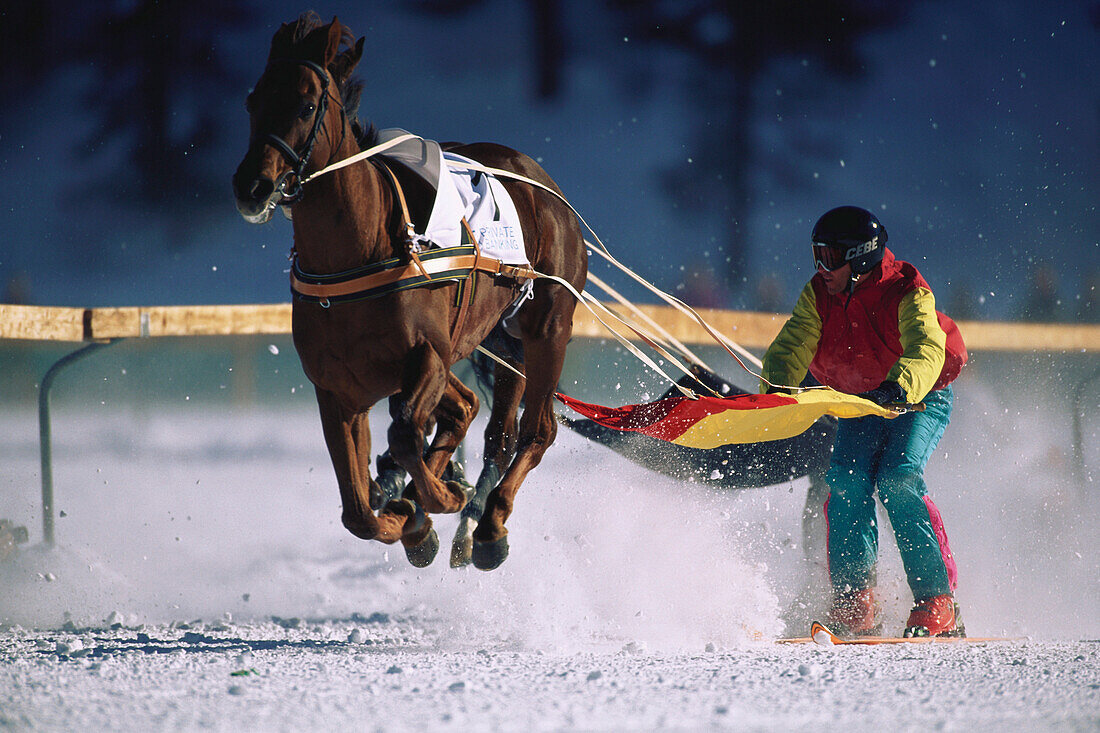 White Turf Skijoering, St. Moritz, St. Moritz, Graubuenden Schweiz