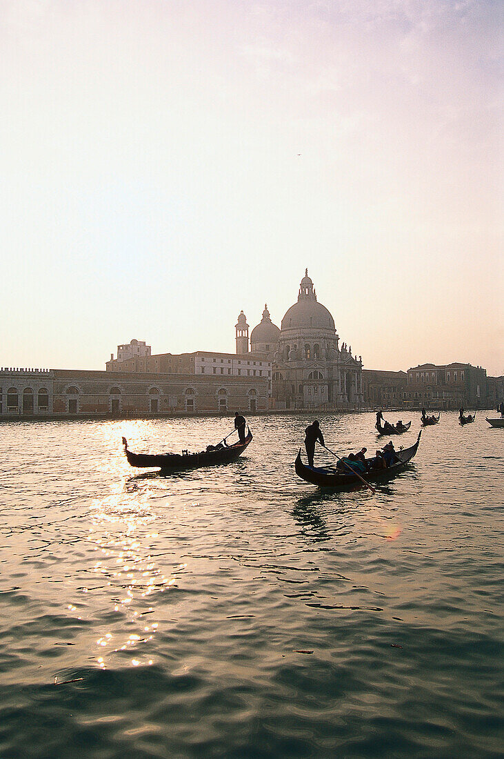 Gondolas on the Canale Grande at sunset, Venice, Italy, Europe