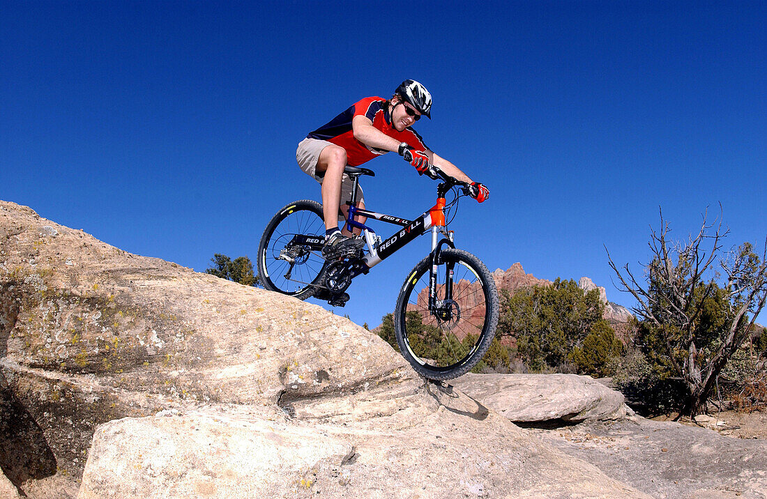 Mountainbike, Gooseberry Trail, Zion Nationalpark Springdale-Utah-USA