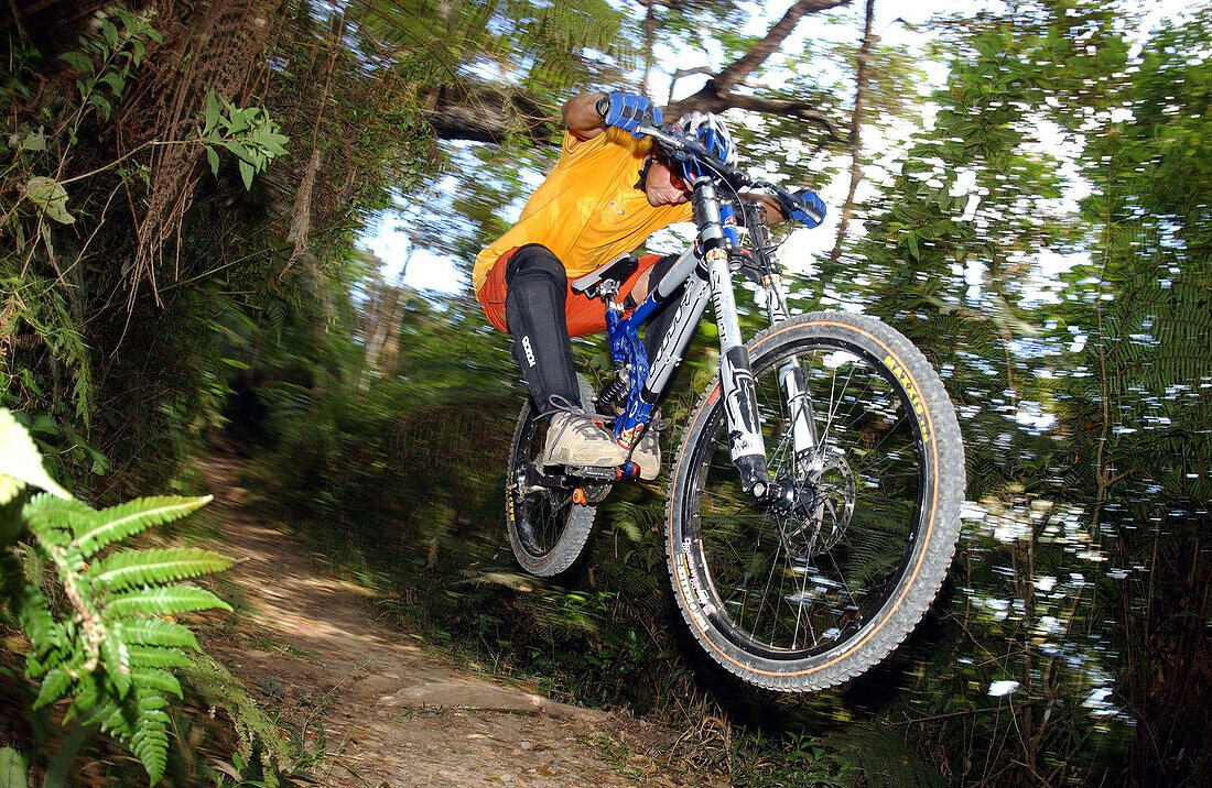 Man riding a mountain bike through the jungle, Cuba, America