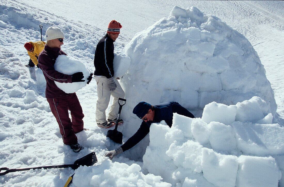 3 Maenner, 1 Frau bauen ein Iglu, Dachstein Oesterreich