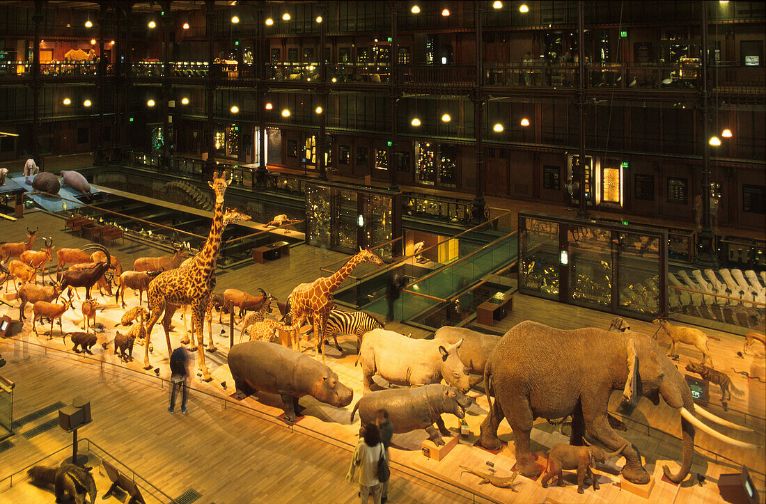 Galerie de l'Evolution, Museé d'Histoire Naturelle, 5. Arrt. Jardin des Plantes, Paris, Frankreich