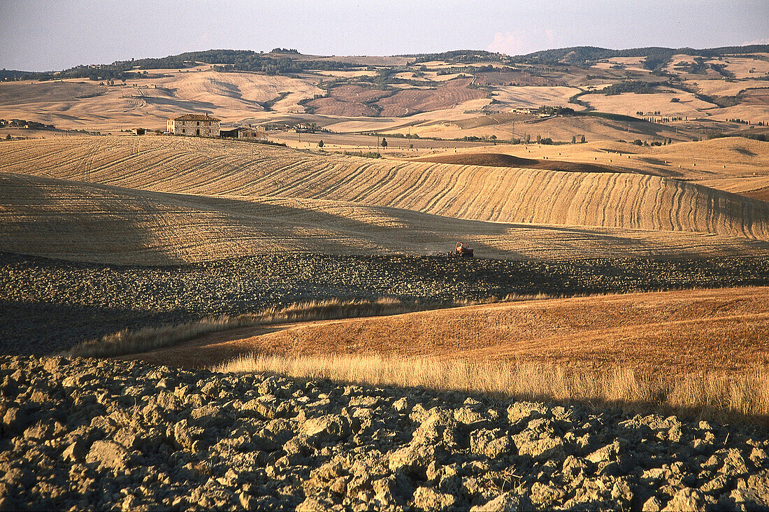 Agrarlandschaft, Toskana Italien