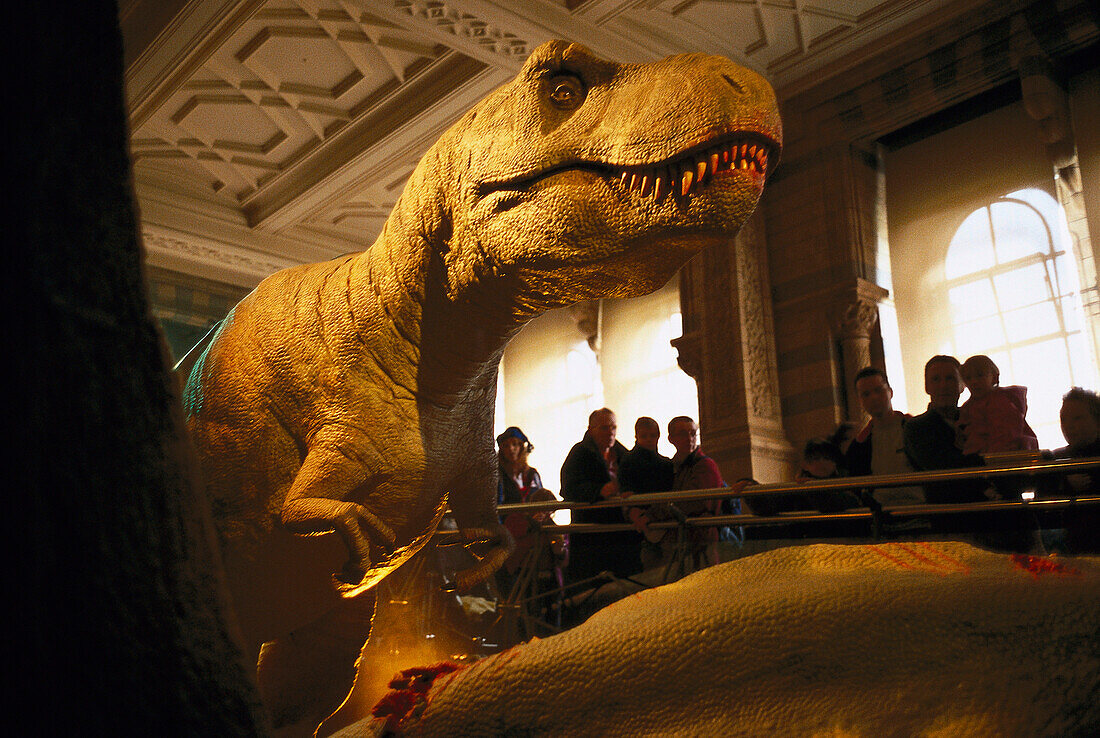 Natural History Museum, Dinosaur Exhibition London, Großbritannien