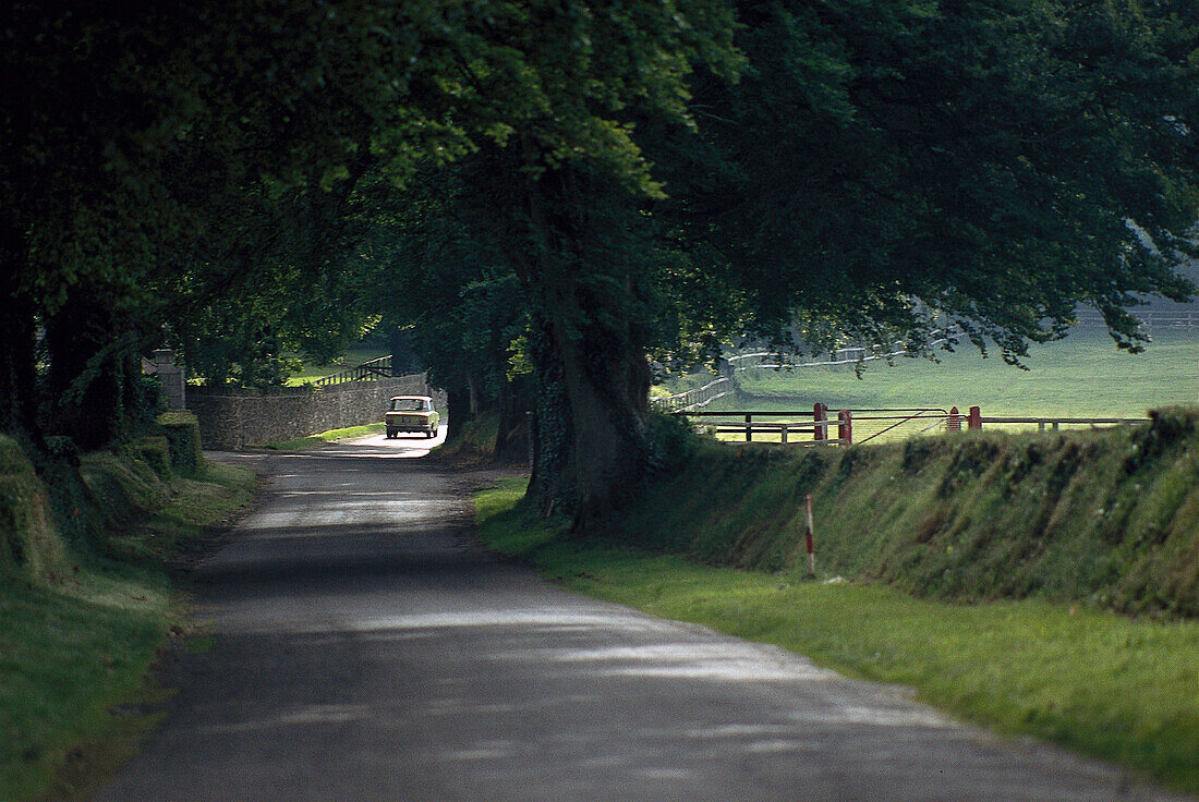 Landstrasse u. Pferdeweiden, Curragh Irland