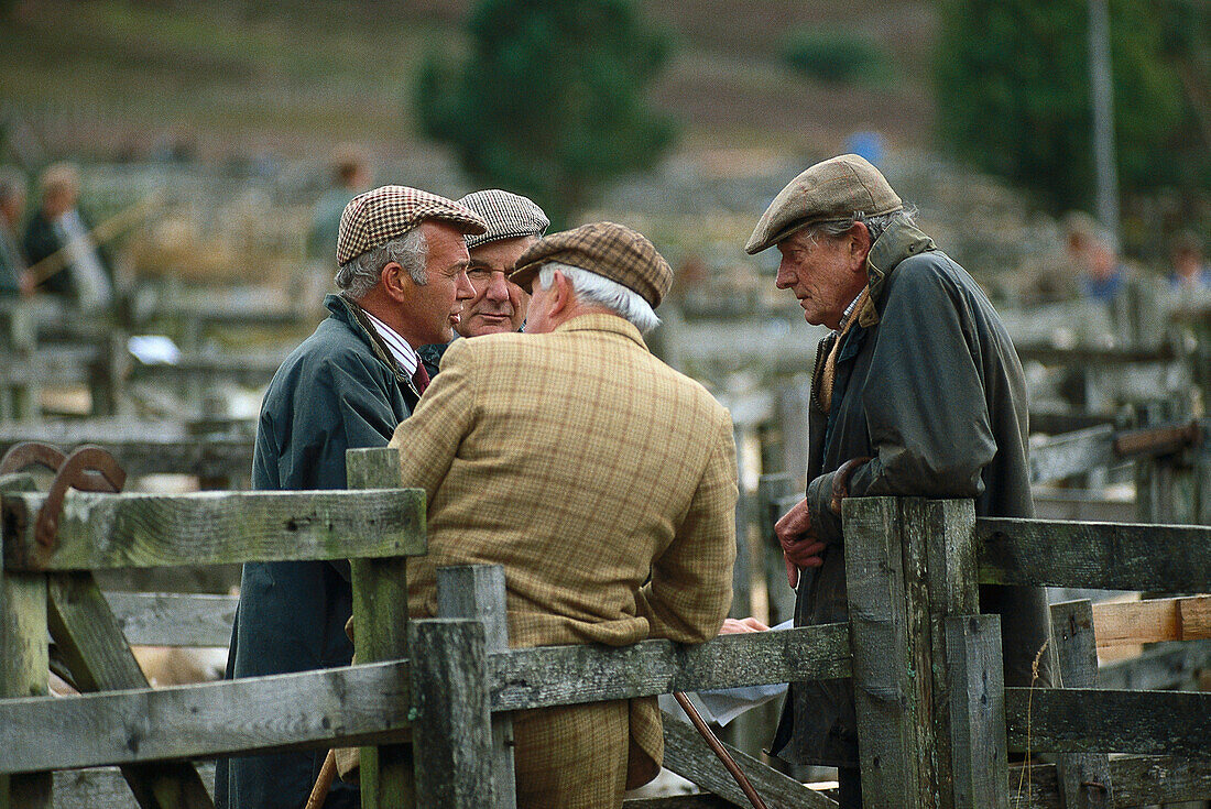 Männer am Lämmermarkt, von Lairg, Schottland, Großbritannien