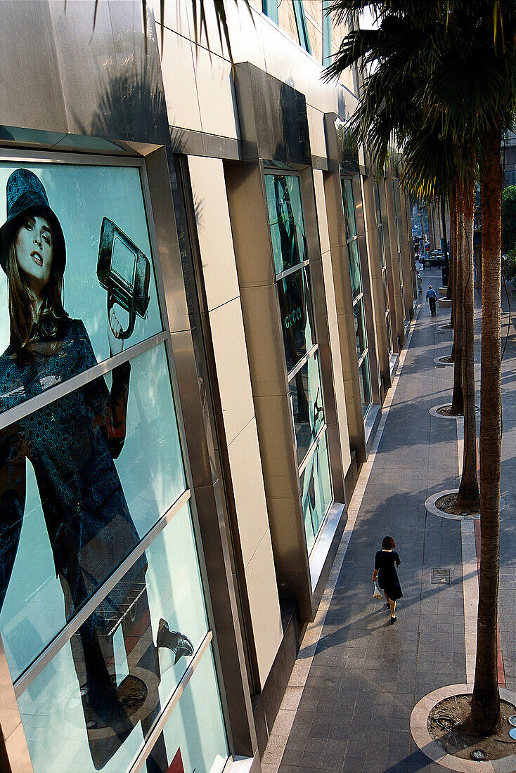 View at the Gaysorn Shopping Center, Bangkok, Thailand, Asia