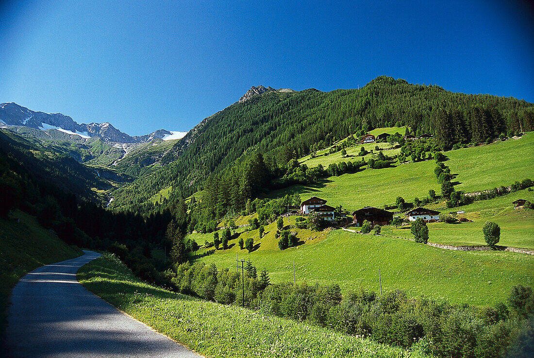 Grüne Wiesen im Tauferer Ahrntal unter blauem Himmel, Pustertal, Südtirol, Italien, Europa