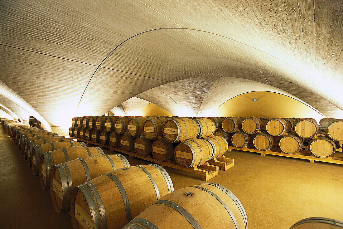 Beleuchtetes Kellergewölbe mit Weinfässern, Bodega Otazu, Navarra, Spanien