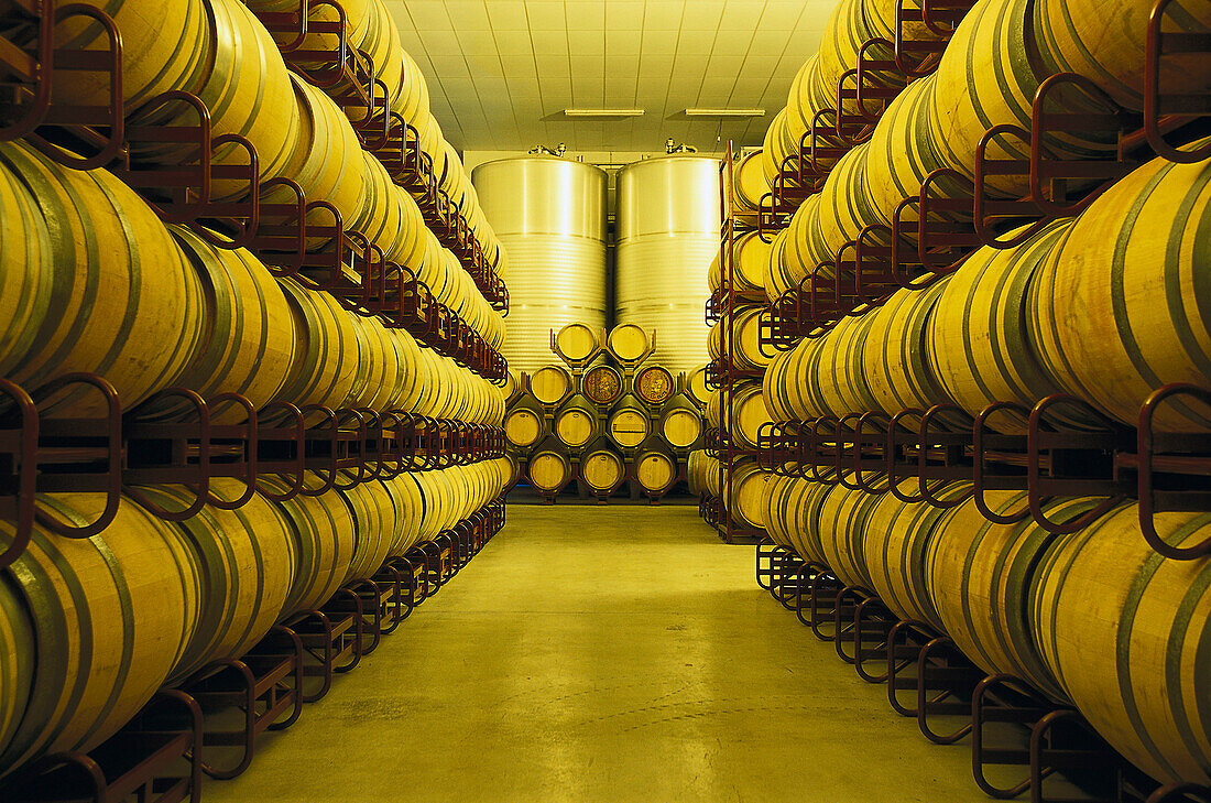 Storage room for wine barrels, Bodega Ochoa, Navarra, Spain, Europe