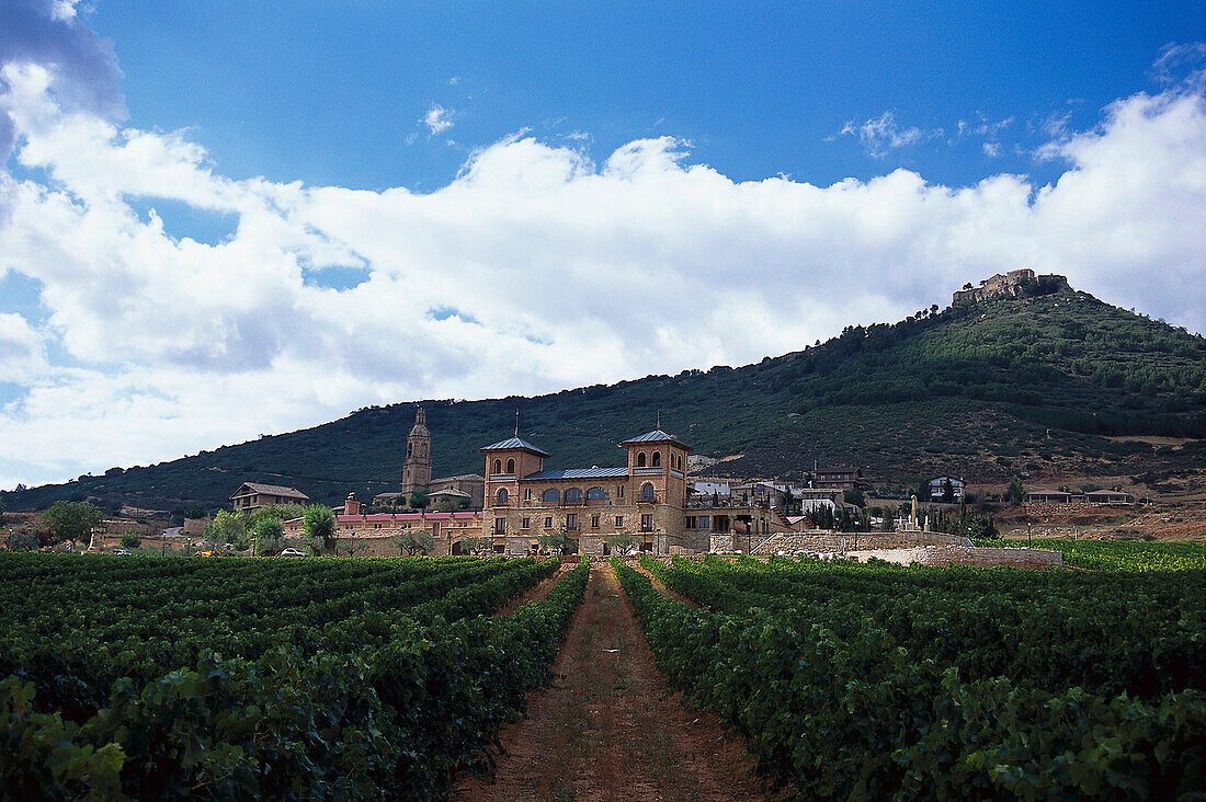 Winery, Bodega Castillo de Monjardin, Navarra, Spain