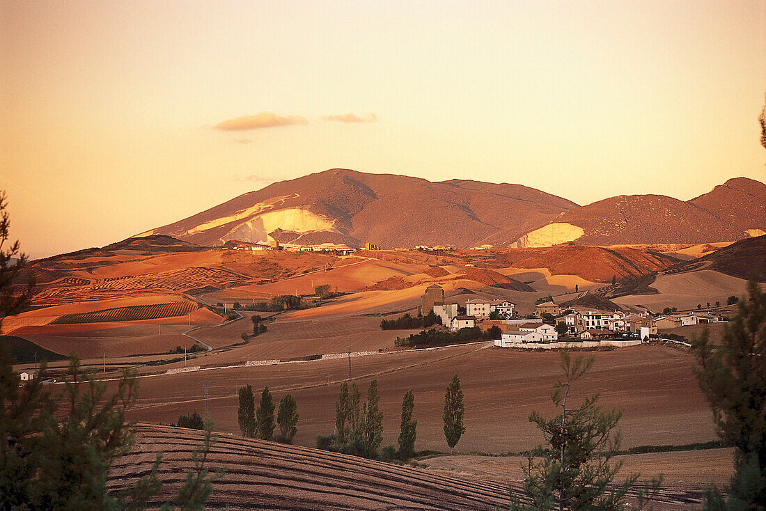 Landschaft bei Bodega Nekeas, Navarra, Spanien