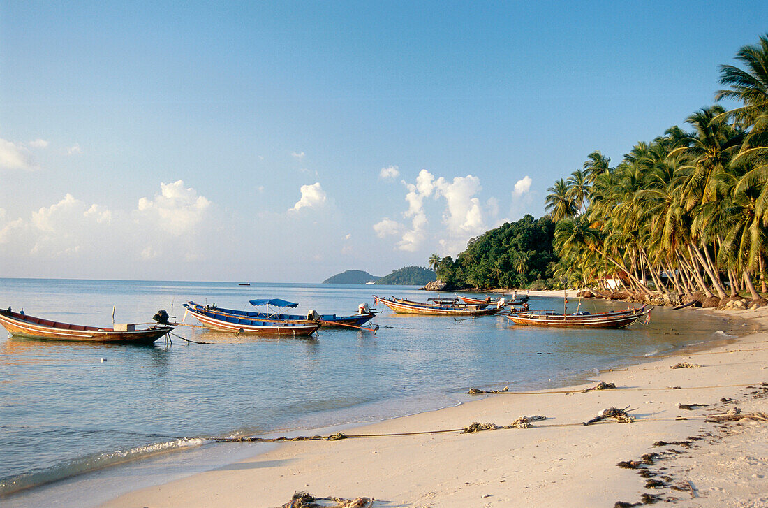 Fishing boats are moored in the shallow water off the beach, Taling Ngam, Koh Samui, Thailand