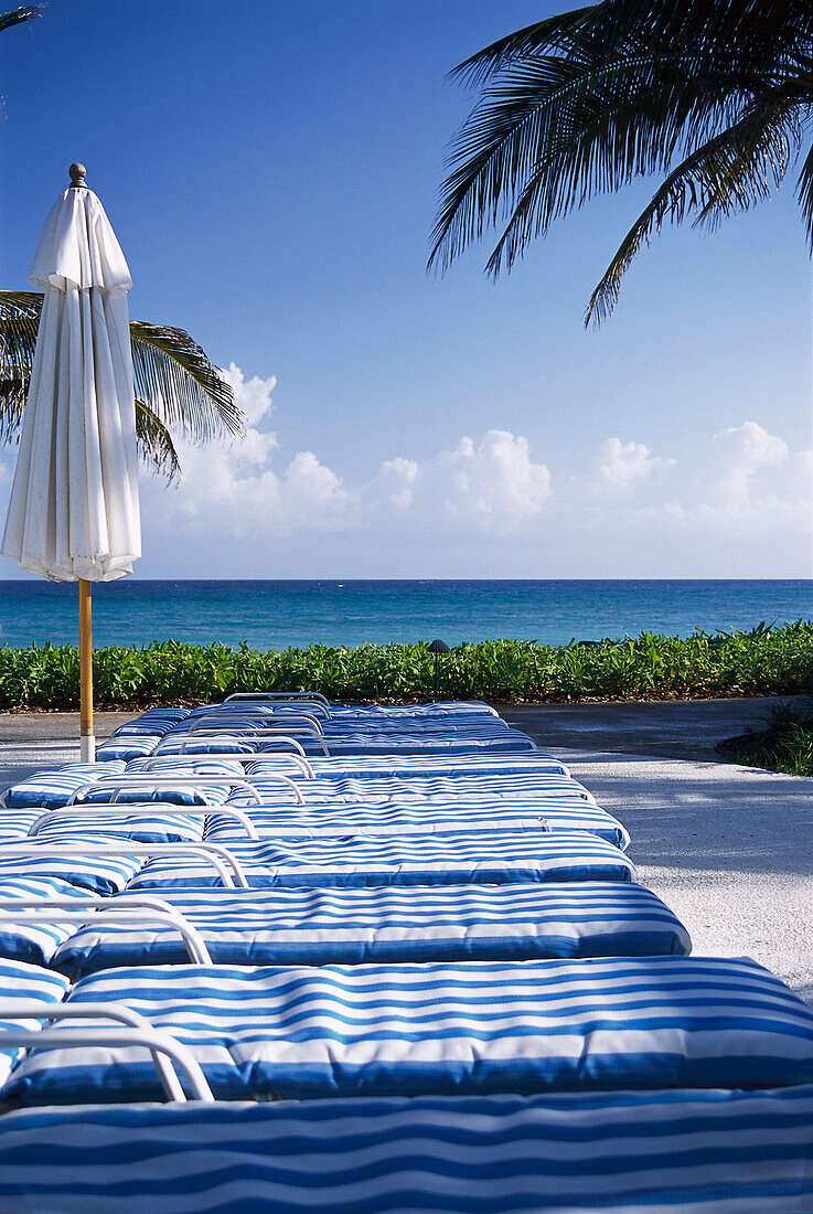 Deck chairs, Ritz Charlton Rose Hall, Montego Bay, Jamaica, Caribbean