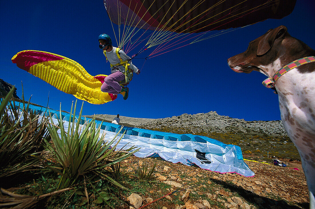 Paragliding, Andalusia, Spain Sports