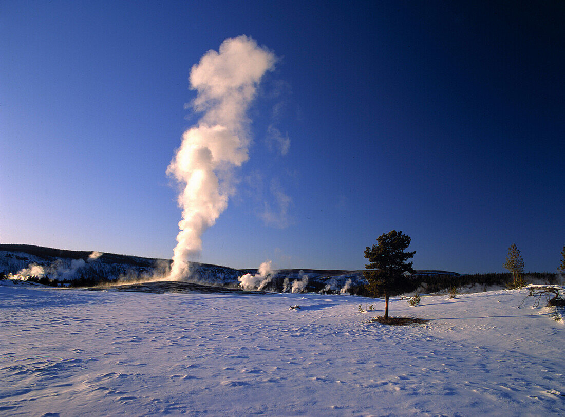 Geysir Old Faithful im Winter, Yellowstone Nationalpark, Wyoming, USA, Amerika