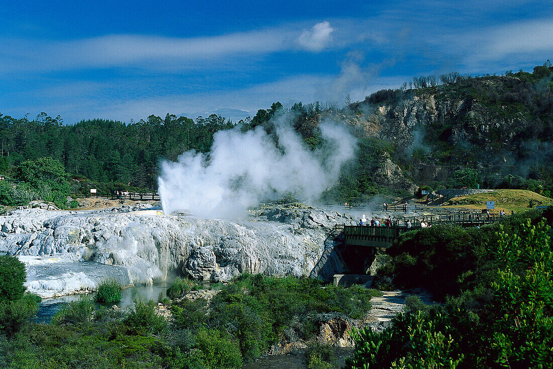 Pohutu Geysir, Whakarewarewa, Rotorua Nordinsel, Neuseeland