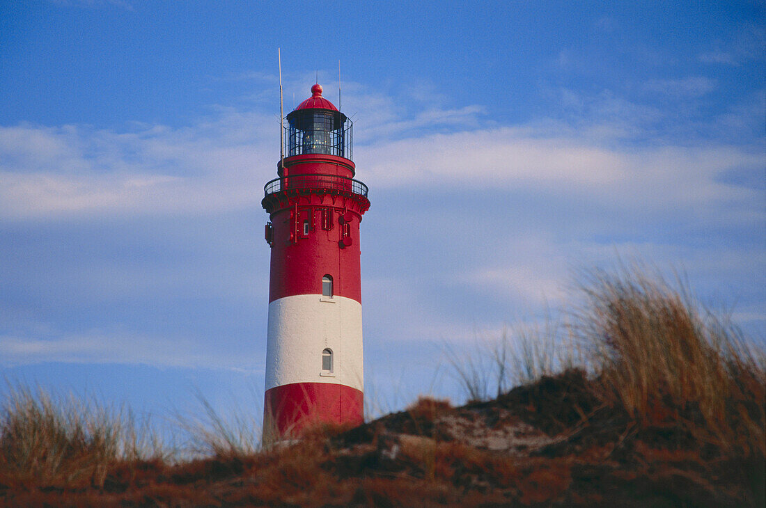 Leuchtturm und Dünen auf der Insel Amrum, Nordfriesische Inseln, Schleswig-Holstein, Deutschland