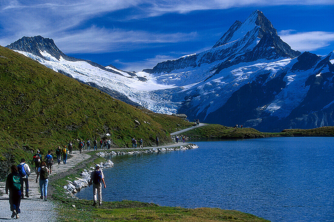 Bachalpsee mit Wetterhorn, bei Grindelwald, Berner Oberland, Schweiz