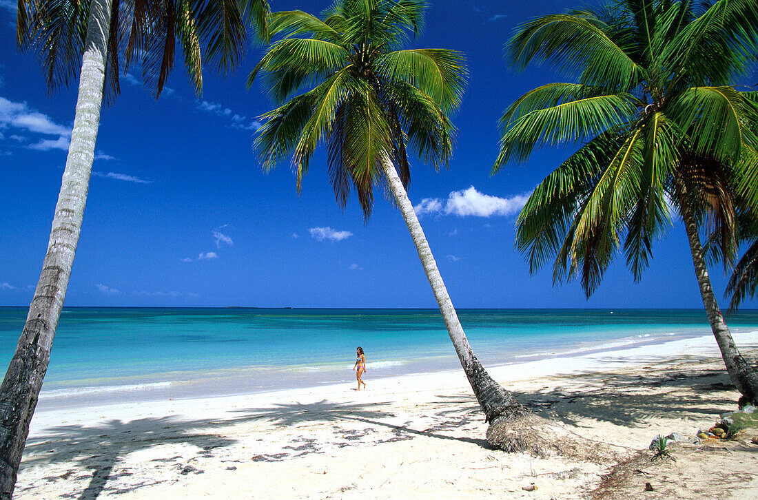 Palmenstrand Las Terrenas, Dominikanische Republik Karibik, Amerika