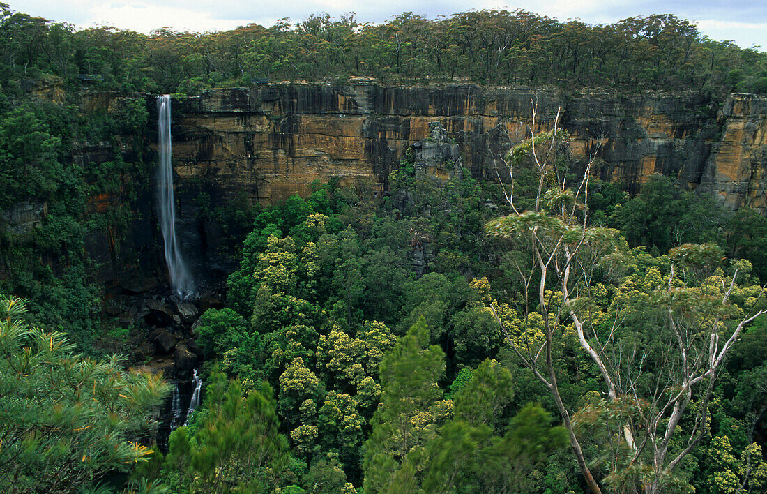 Fitzroy Falls, Morton NP, Australien, NSW, Wasserfall im Morton Nationalpark, Sandstone cliffs