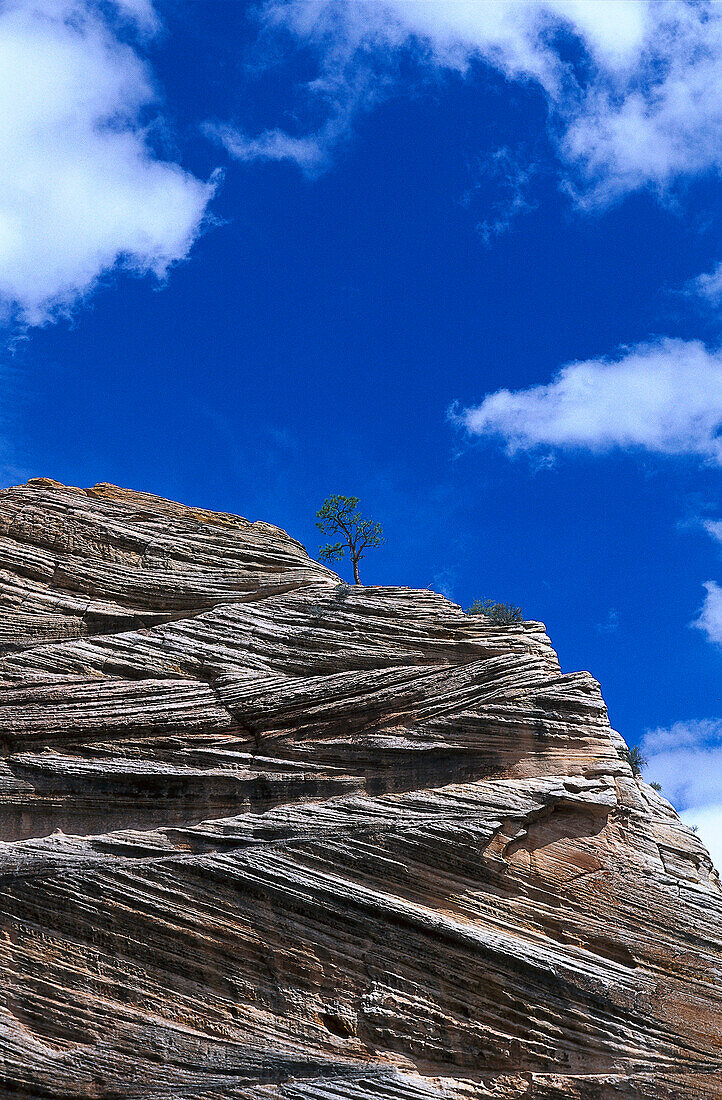 Zion Nationalpark, Utah USA