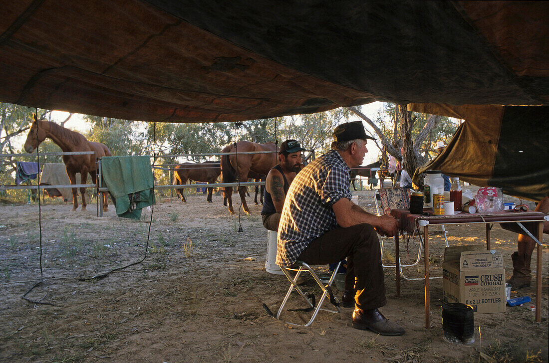 camping, Birdsville outback races, Queensland, Australia