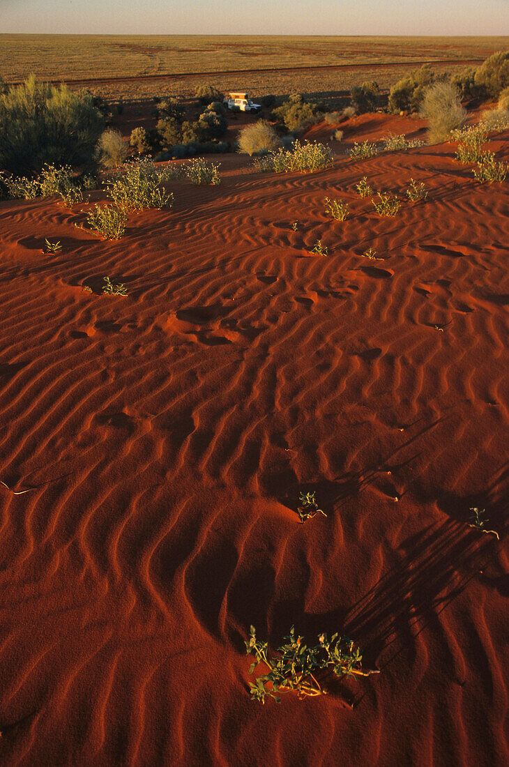 Red sand dunes, red centre, Australia, ripples in red sand dune in outback South Australia