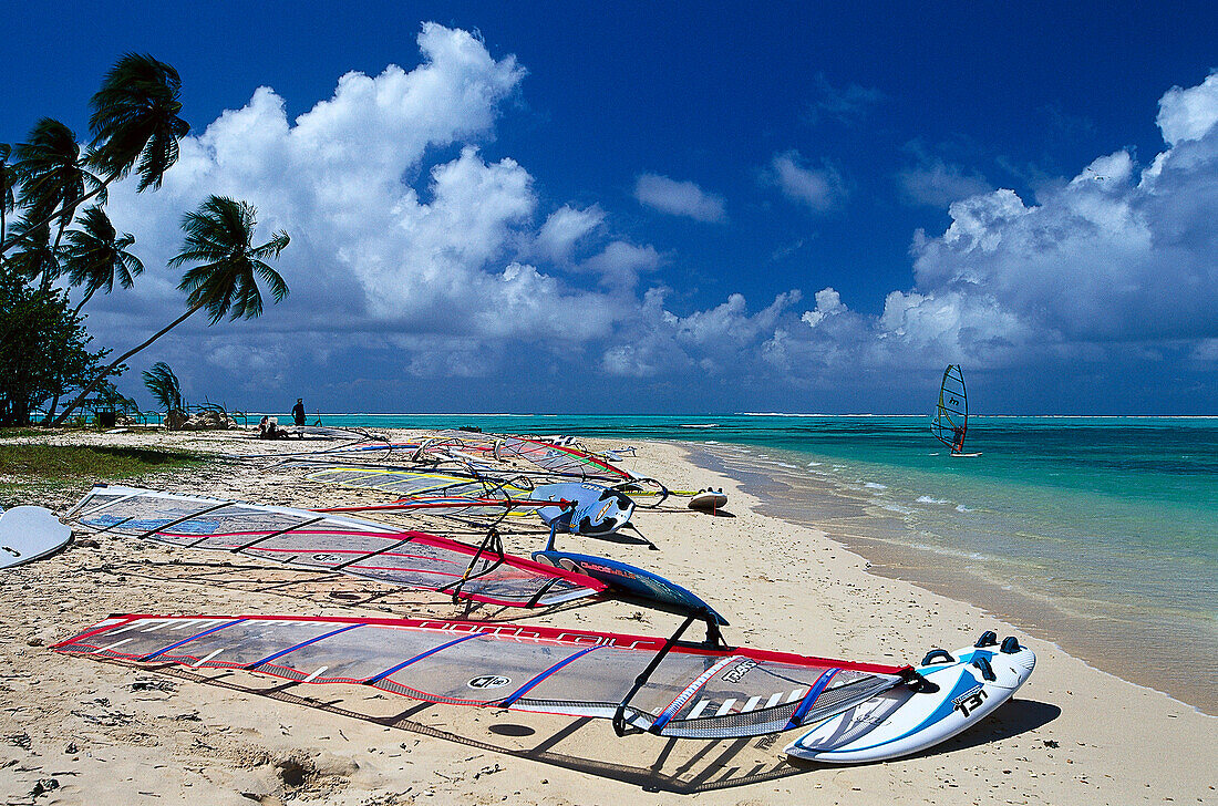 Surfboards on the sandy beach, Palm beach with coconut palms, Pigeon Point, Tobago, West Indies, Caribbean