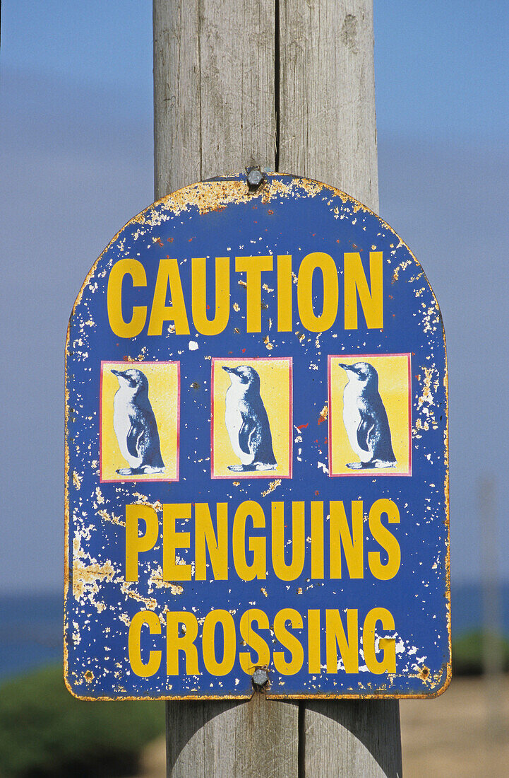 Penguins Crossing, sign, Tasmania, Australien, Australia, Tasmanien, Road sign warning that penguins have right of way Straßenschild, warnt, Pinguins Überqueren der Straße