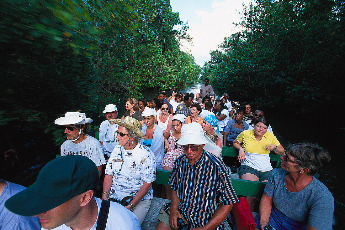 Touristenboot, tourist-boat, Caroni Swamps Bird Sanctuary Trinidad, West Indies, Karibik