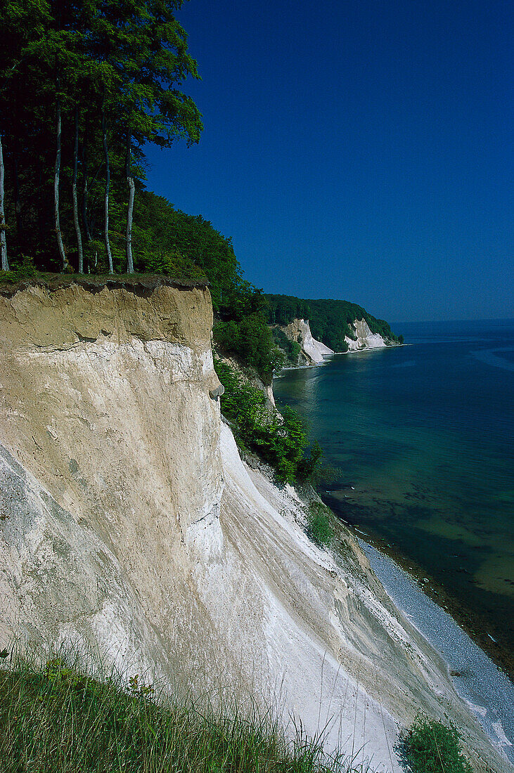 Chalk cliff, National park Jasmund, Rügen, Mecklenburg- Vorpommern , Germany