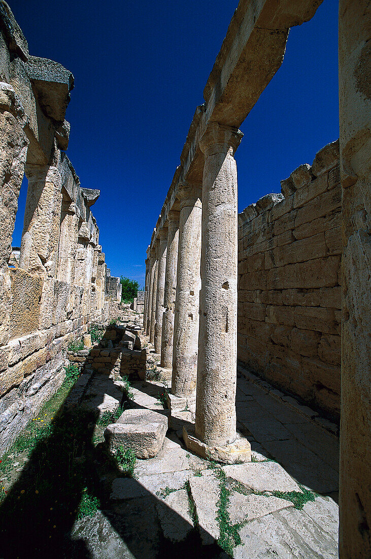 Saeulengang, Antike Stadt Hierapolis bei Pamukkale, Tuerkei