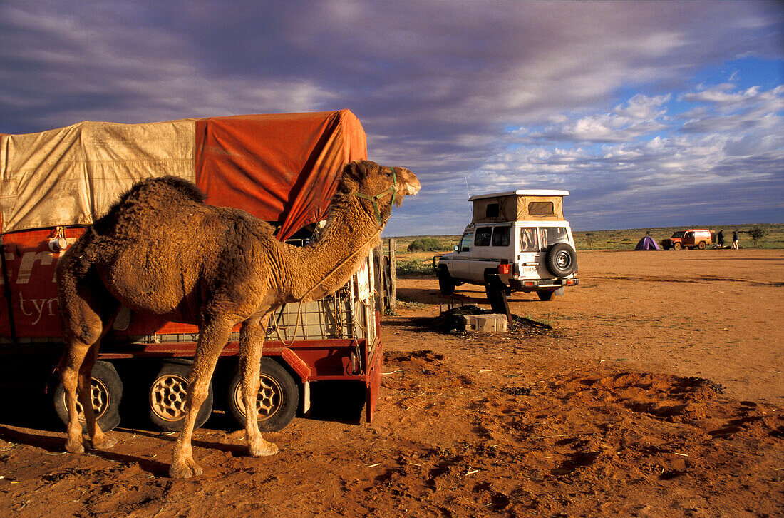 William Creek Hotel + Campground, South Australla Australia