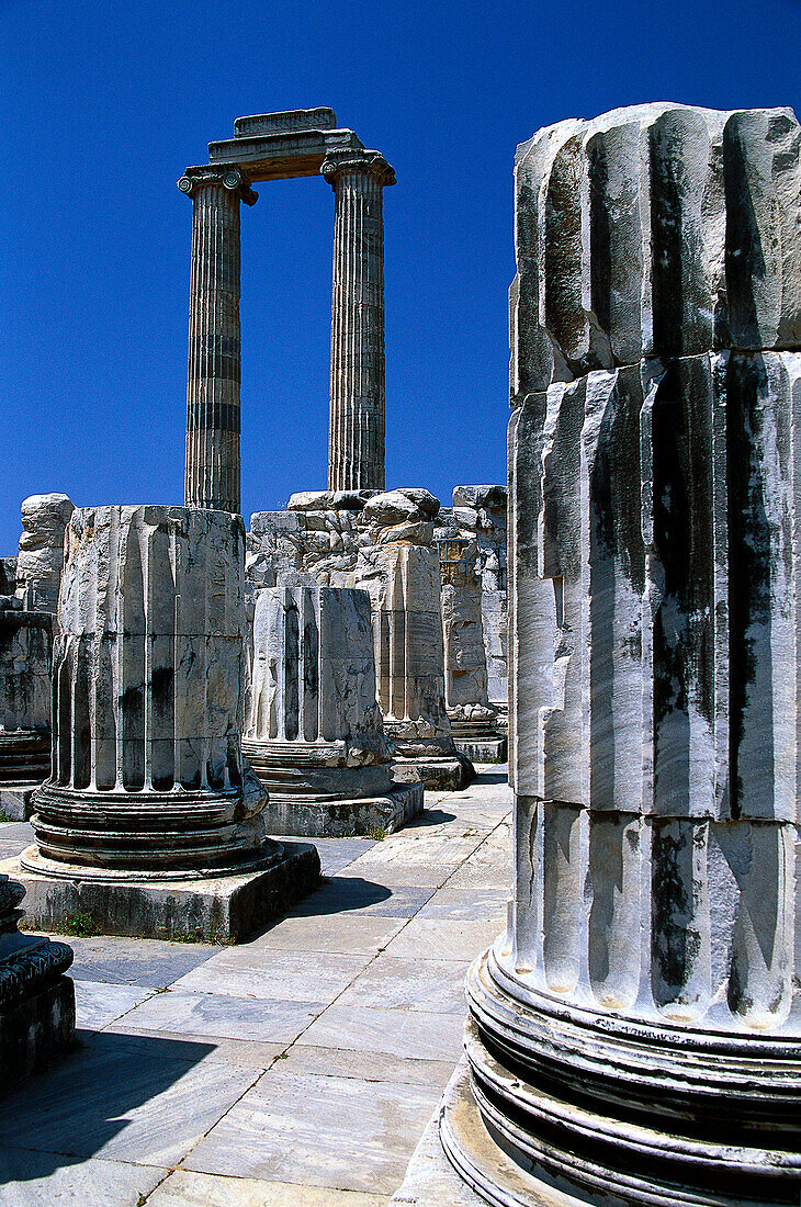 Temple of Apollo in the ancient city of Didyma, significant sanctuary and Oracle, Turkey