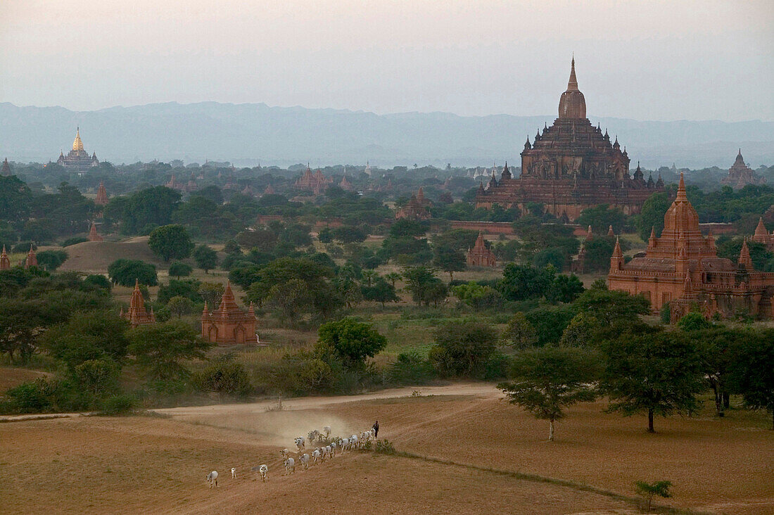 Sunset over the temples of Bagan, Sonnenuntergang, Ruinenfeld von Pagan, Kulturdenkmal von tausenden Ruinen von Pagoden