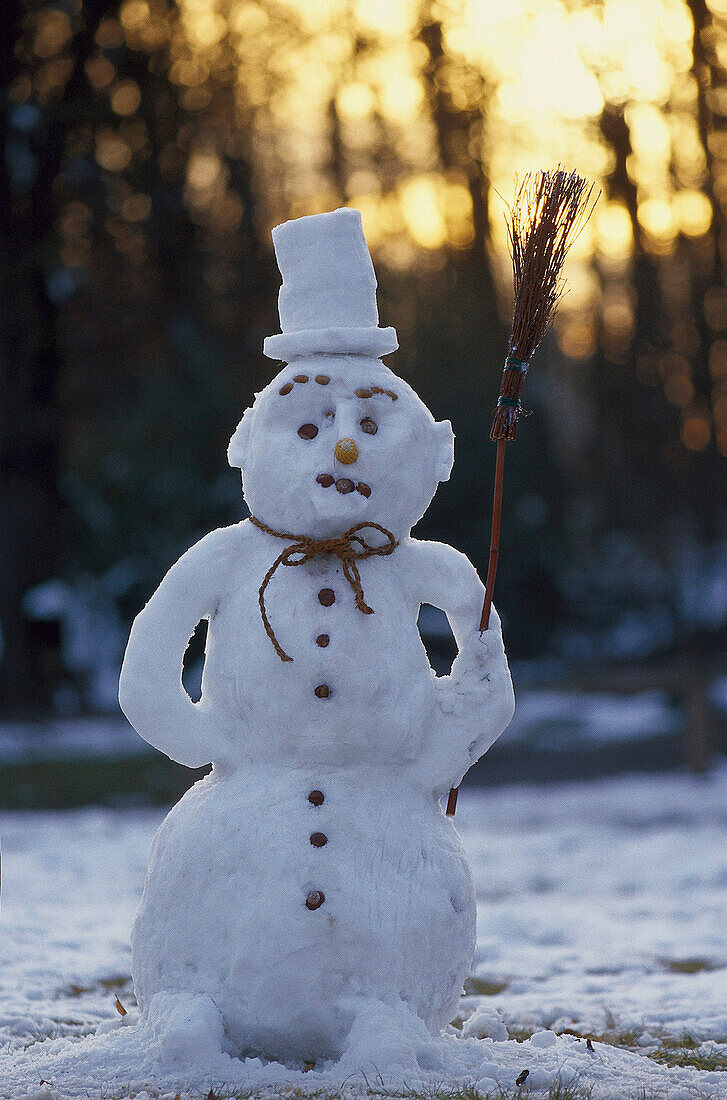 Schneemann in Winterlandschaft