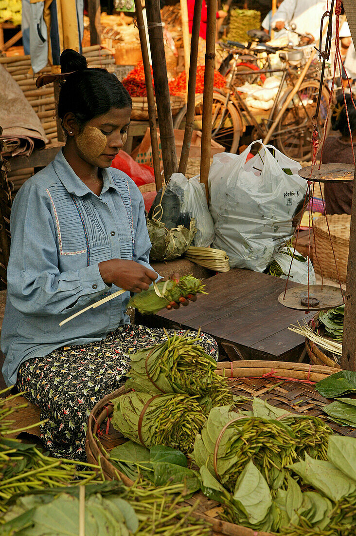 Betel leaves, Bago market, Burmese woman wraps betel leaves to sell at Bago's market Burmesische verkaüferin mit Betelblättern