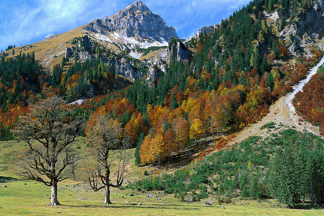 Autumn, Eng, Karwendel Mountains Tyrol, Austria